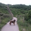 2014 Ile de Noirmoutiers Sylt (339)